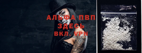дурь Богданович