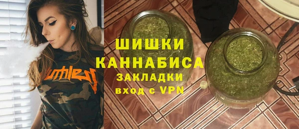 дурь Богданович