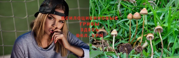 дурь Богданович